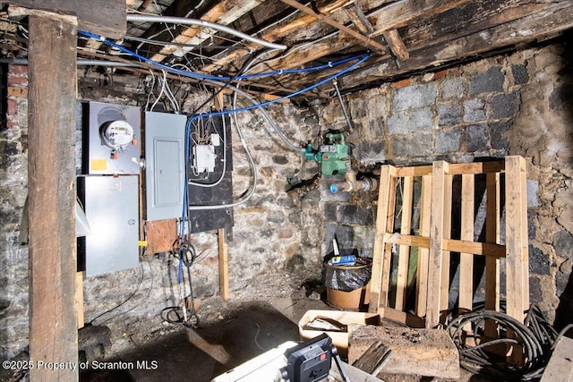 basement featuring electric panel