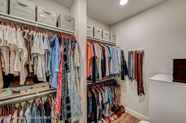 spacious closet with hardwood / wood-style flooring