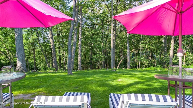 805 E Mountain Rd, Scranton, PA 18505 - view of green lawn