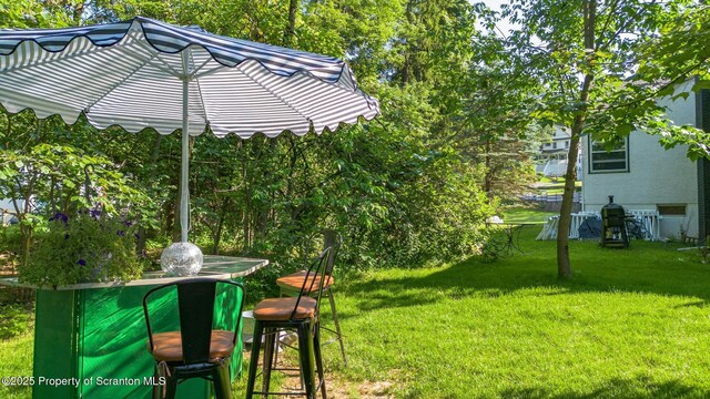 805 E Mountain Rd, Scranton, PA 18505 - view of green lawn