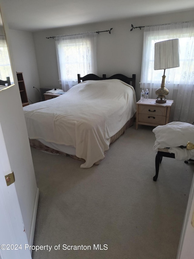 bedroom featuring multiple windows and light colored carpet