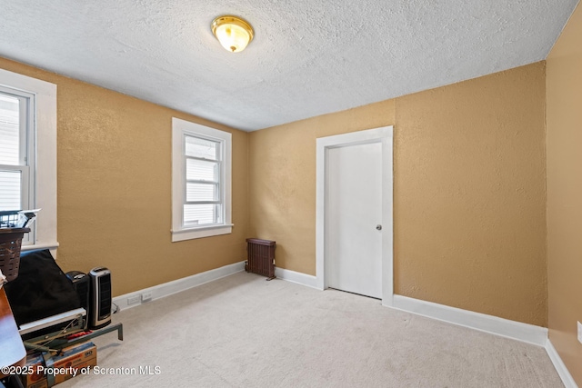 2211 Myrtle St, Scranton, PA 18510 - carpeted home office with a textured wall and a textured ceiling