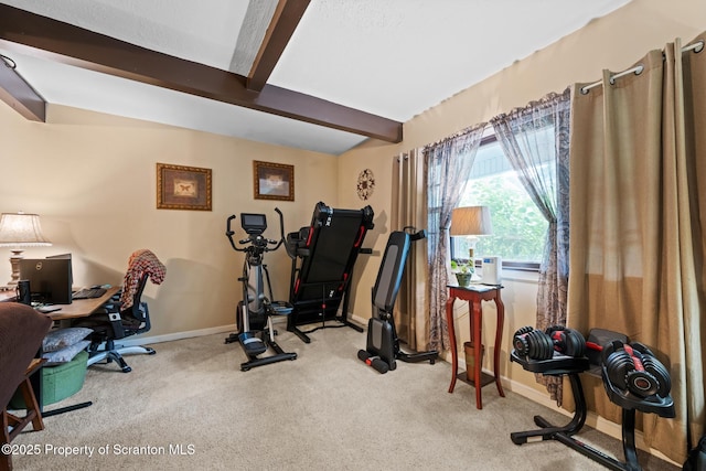2211 Myrtle St, Scranton, PA 18510 - exercise room with baseboards and carpet flooring