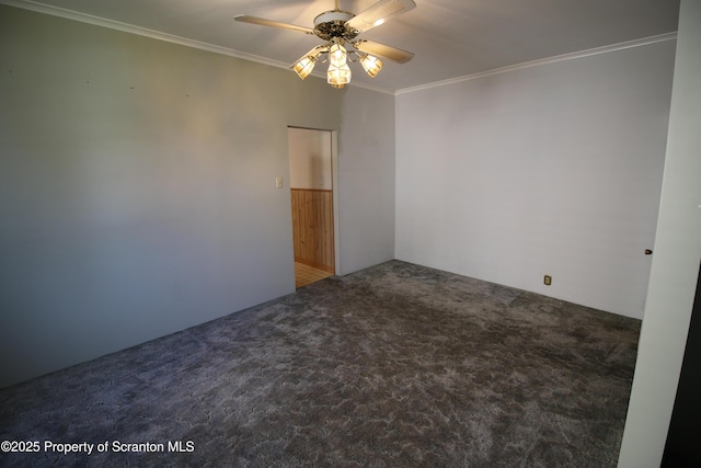 441-443 14th Ave, Scranton, PA 18504 - photo 13