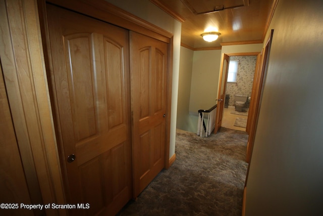 441-443 14th Ave, Scranton, PA 18504 - photo 27
