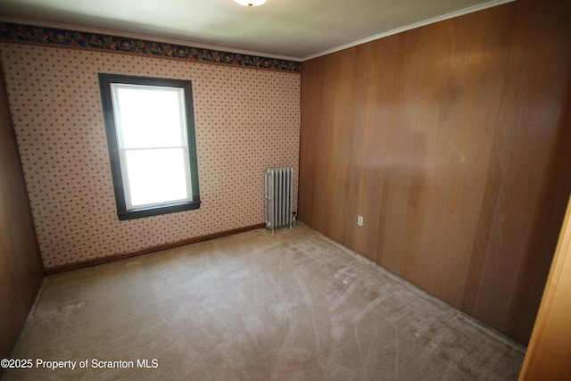 441-443 14th Ave, Scranton, PA 18504 - photo 19