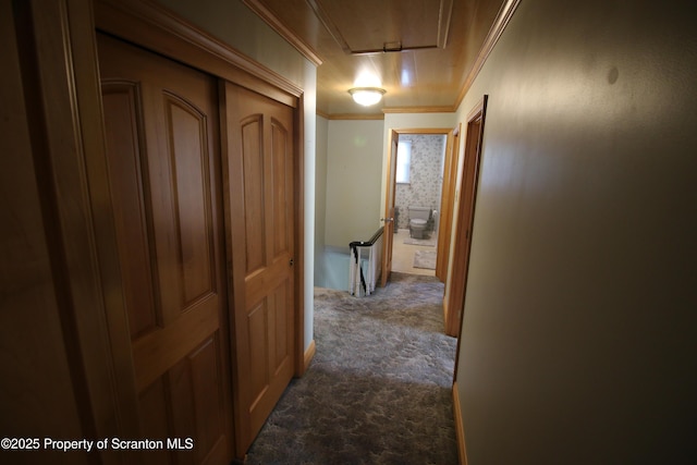 441-443 14th Ave, Scranton, PA 18504 - photo 26