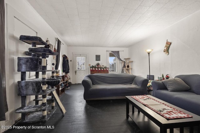 living room featuring wood-type flooring