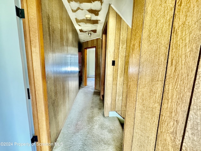 hallway featuring carpet and wood walls