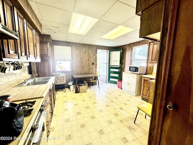 kitchen featuring sink, a healthy amount of sunlight, stove, a paneled ceiling, and wooden walls