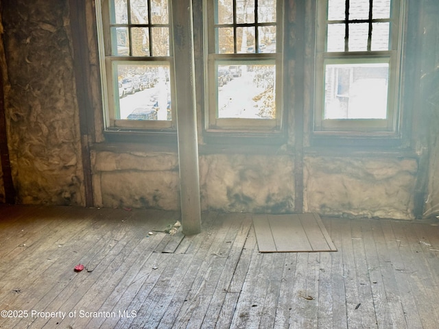 interior space featuring hardwood / wood-style flooring