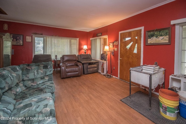 living room with light wood-type flooring and crown molding