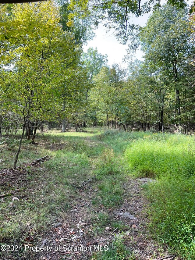 view of landscape