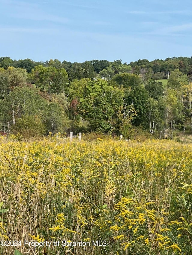 view of landscape