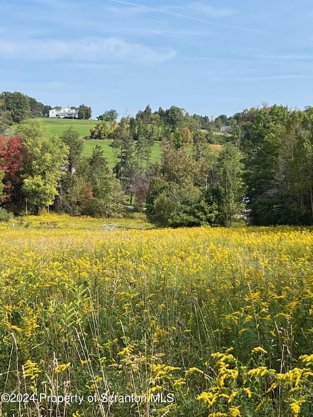 view of local wilderness featuring a rural view