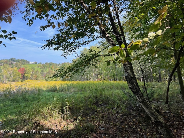 view of nature