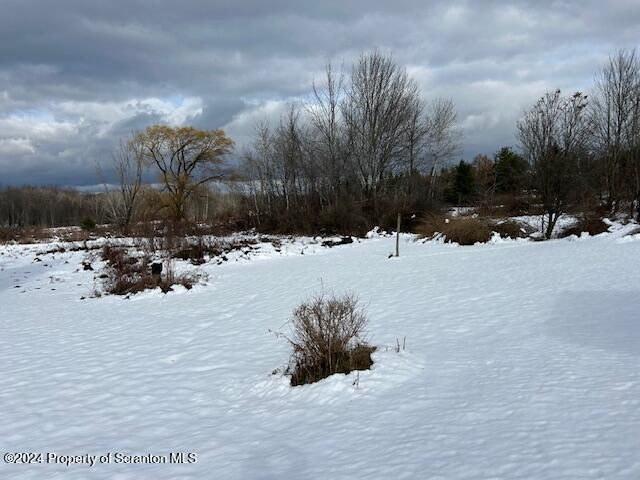 view of yard layered in snow