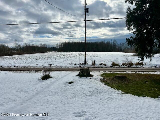 view of yard covered in snow