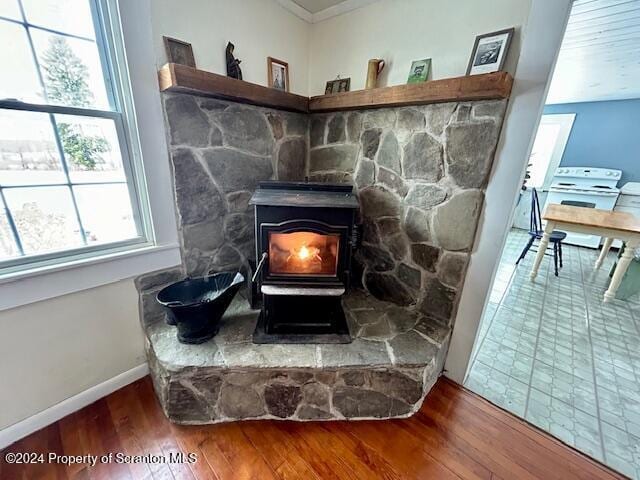 room details featuring a wood stove, crown molding, and wood-type flooring