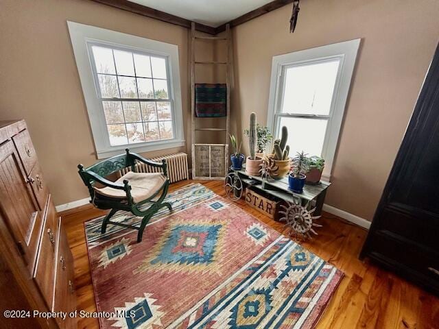 living area featuring radiator heating unit and hardwood / wood-style floors