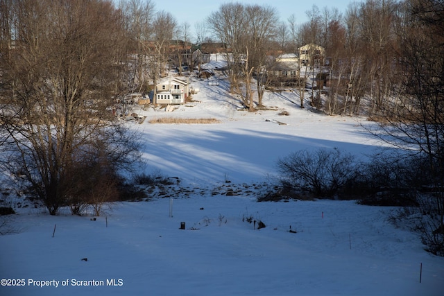 view of yard layered in snow