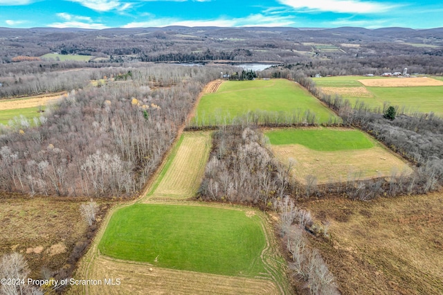 bird's eye view featuring a mountain view and a rural view