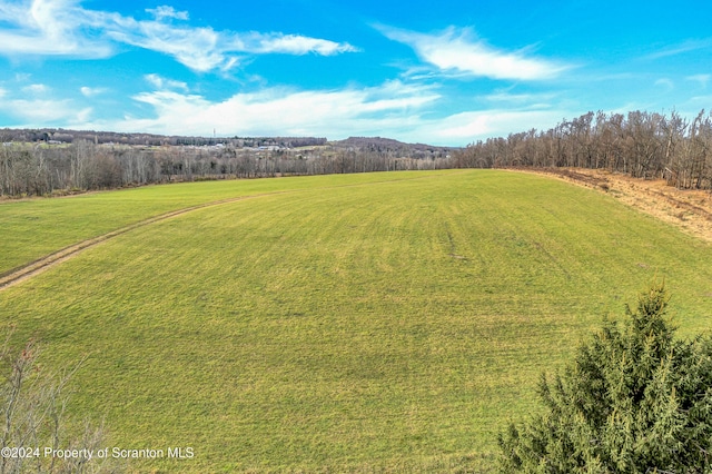 view of yard with a rural view