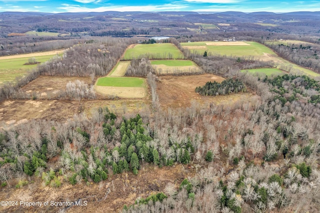 birds eye view of property with a mountain view and a rural view