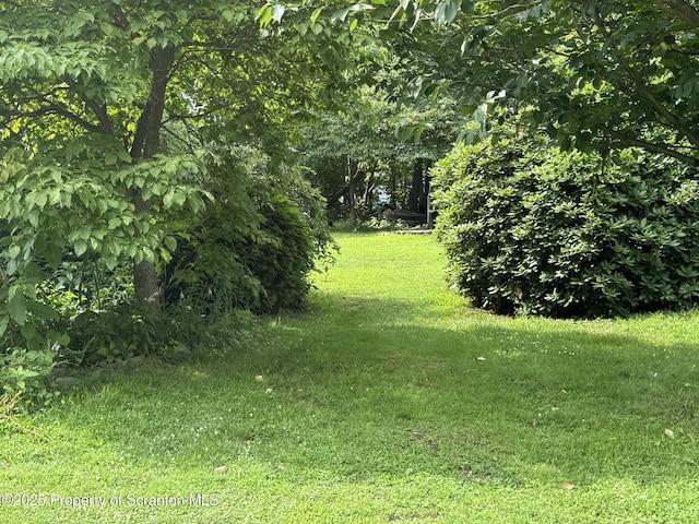 343 Slope St, Warrior Run, PA 18706 - photo 5