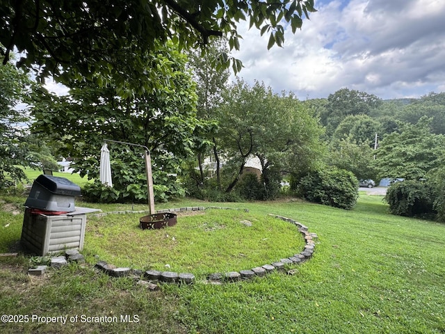 343 Slope St, Warrior Run, PA 18706 - photo 8