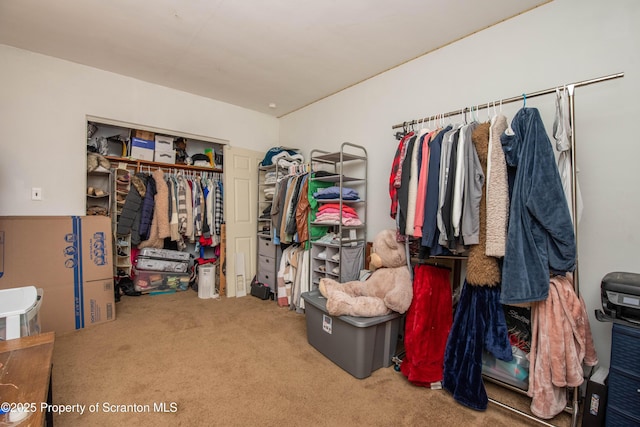 walk in closet with carpet floors