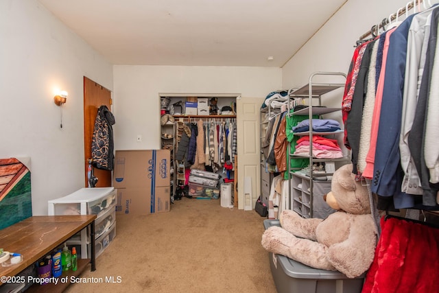 spacious closet with carpet flooring