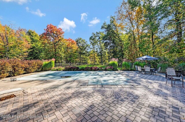 view of pool featuring a patio