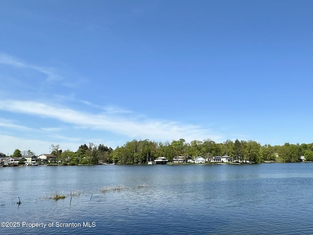 185 Southpoint Rd, Montrose, PA 18801 - water view