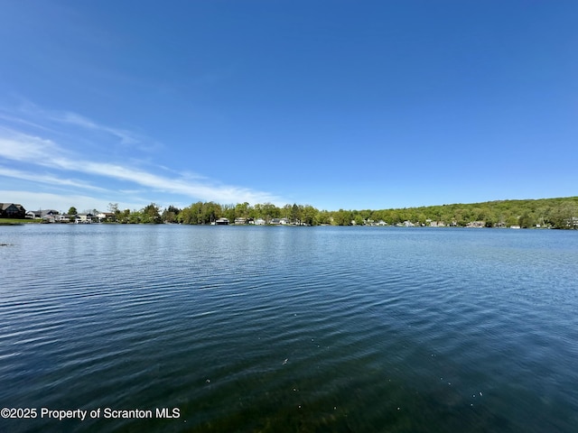 185 Southpoint Rd, Montrose, PA 18801 - water view