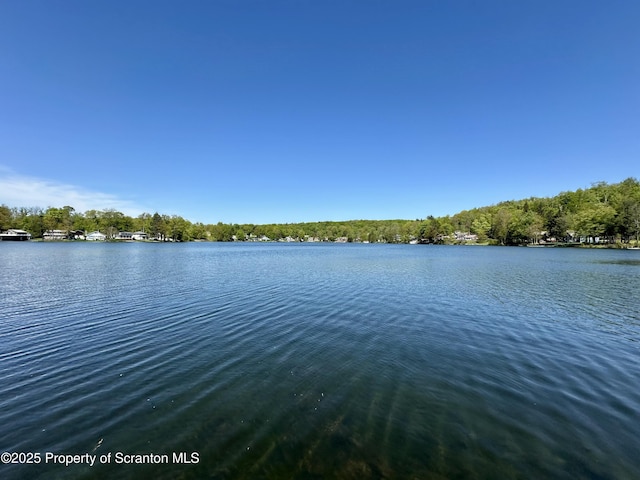 185 Southpoint Rd, Montrose, PA 18801 - water view