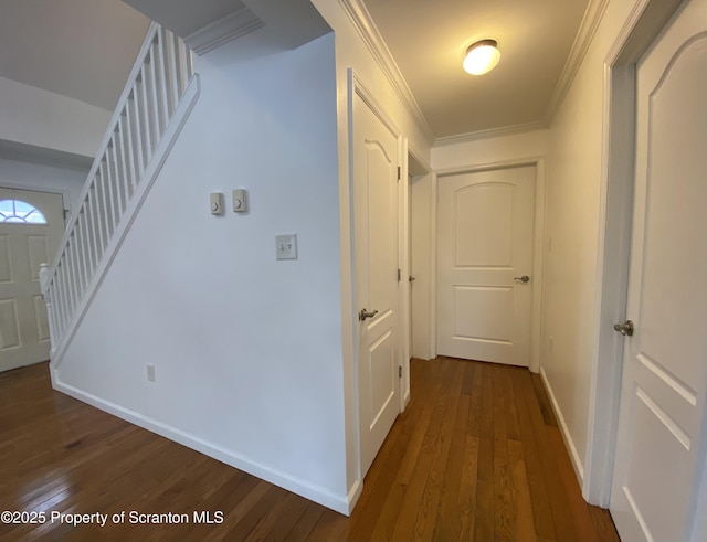 hallway featuring crown molding and dark hardwood / wood-style floors