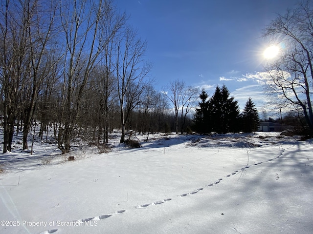 view of yard covered in snow