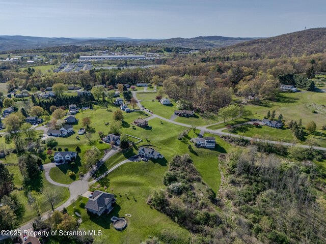 drone / aerial view featuring a mountain view