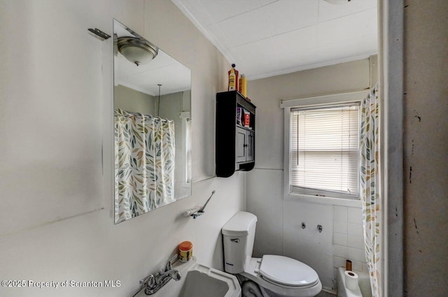1223 Eynon St 1221, Scranton, PA 18504 - bathroom with toilet, crown molding, a sink, and a shower with curtain