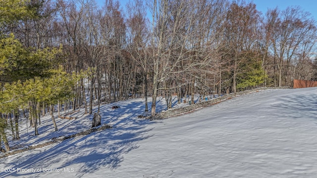 view of yard covered in snow