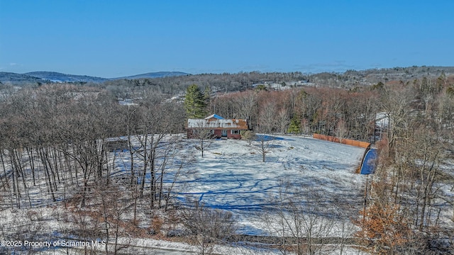 exterior space featuring a mountain view