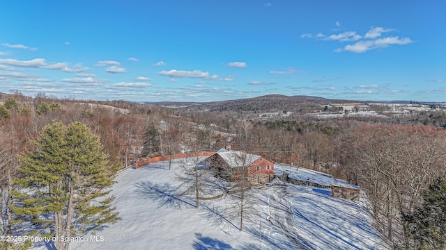 birds eye view of property featuring a mountain view