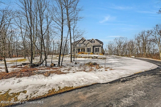 view of front of property with stone siding