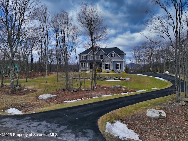 view of front of property featuring stone siding, driveway, and a front lawn