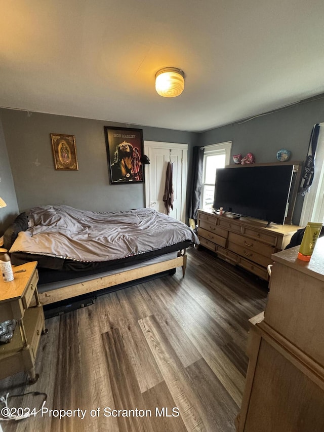 bedroom with dark hardwood / wood-style flooring and a closet