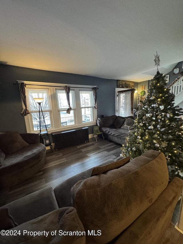 living room featuring hardwood / wood-style flooring and radiator