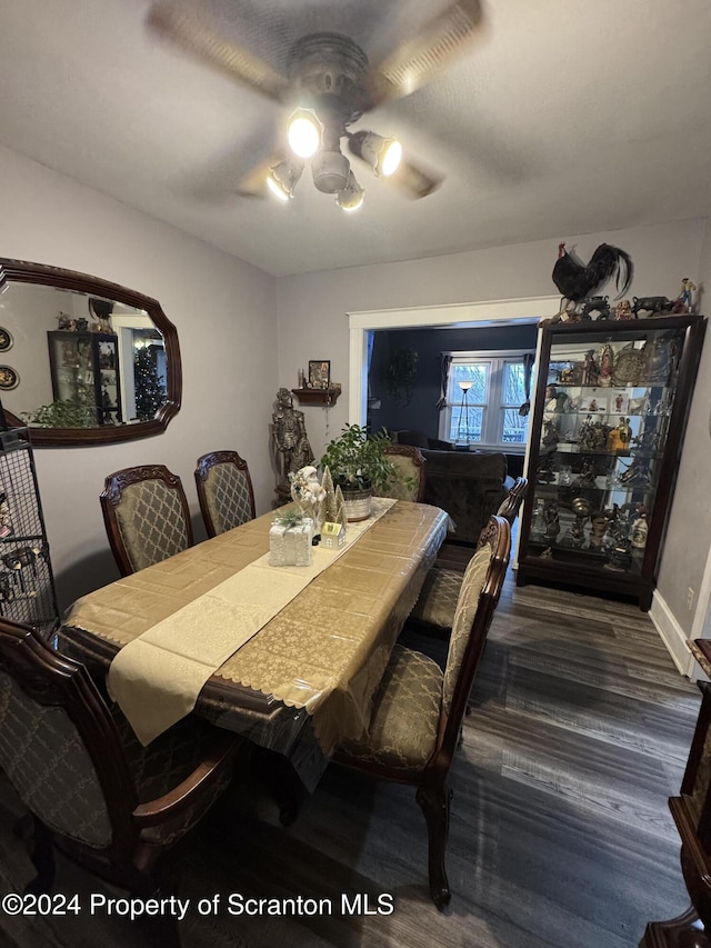 dining room featuring ceiling fan and dark hardwood / wood-style floors