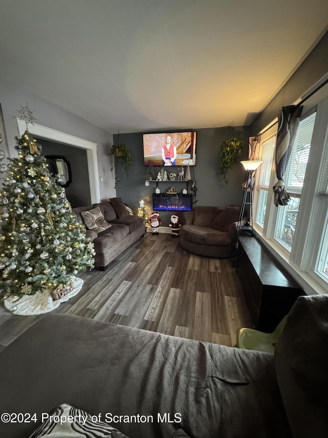 living room featuring hardwood / wood-style floors