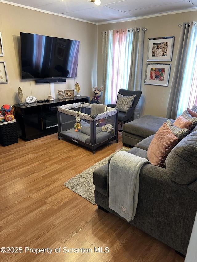 living room featuring light wood-style floors and ornamental molding